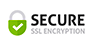 Secure site seal